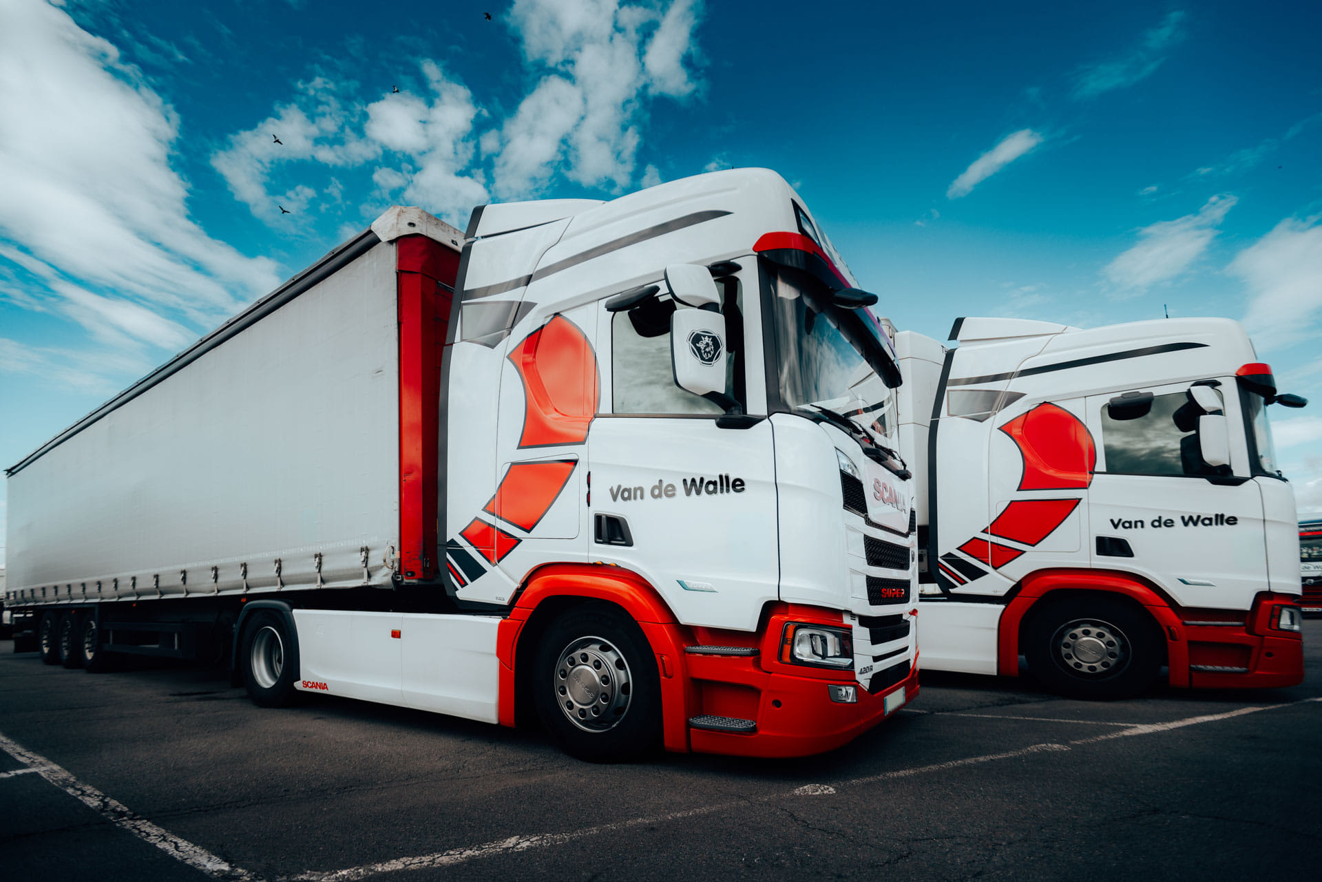 vandewalle-transport–01_3__1920 Camions Volvo rouges et blancs des Transports Van de Walle stationnés sur le parking, prêts pour le transport routier